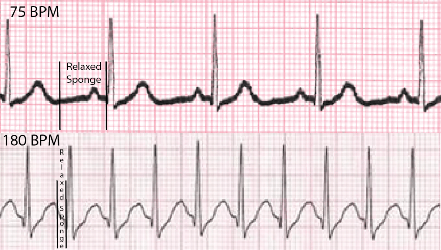 Screen Shot 2016-02-13 at 1.39.23 AM